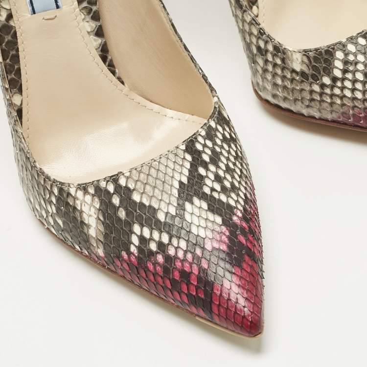 Pre Owned Prada Multicolor Python Leather Pointed Toe Pumps Size 36