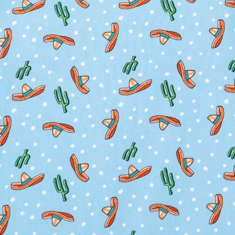 Pre Owned Prada Colorblock Cactus Sombrero Print Cotton& Silk T-Shirt XS 