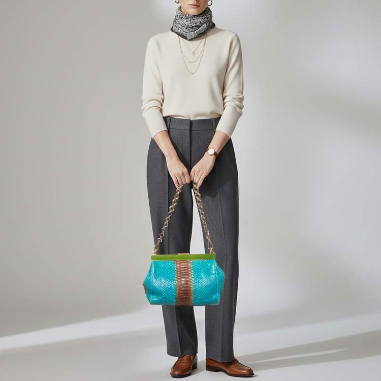 Pre Owned Prada Frame Ombre Blue/Brown Python Chain Bag