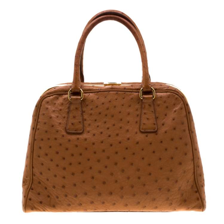 Pre Owned Prada Brown Ostrich Pyramid Frame Top Handle Bag