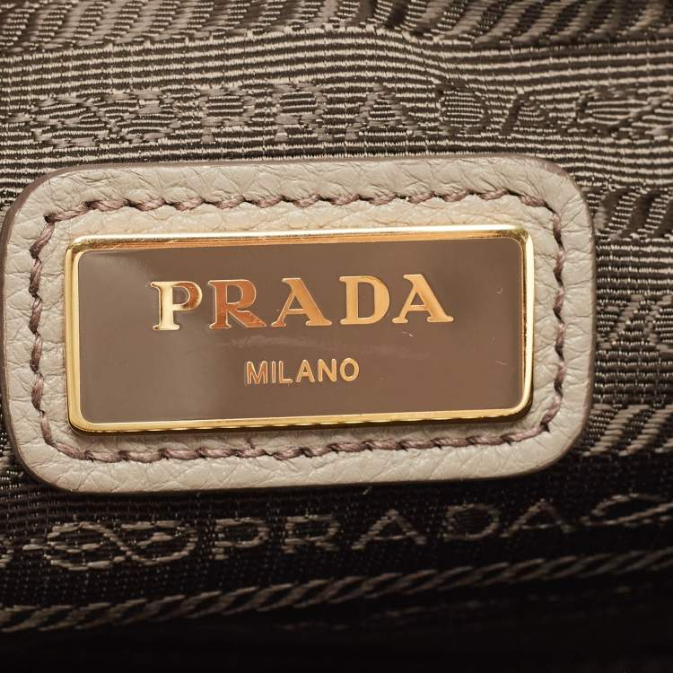 Pre Owned Prada Grey Leather Double Zip Camera Crossbody Bag