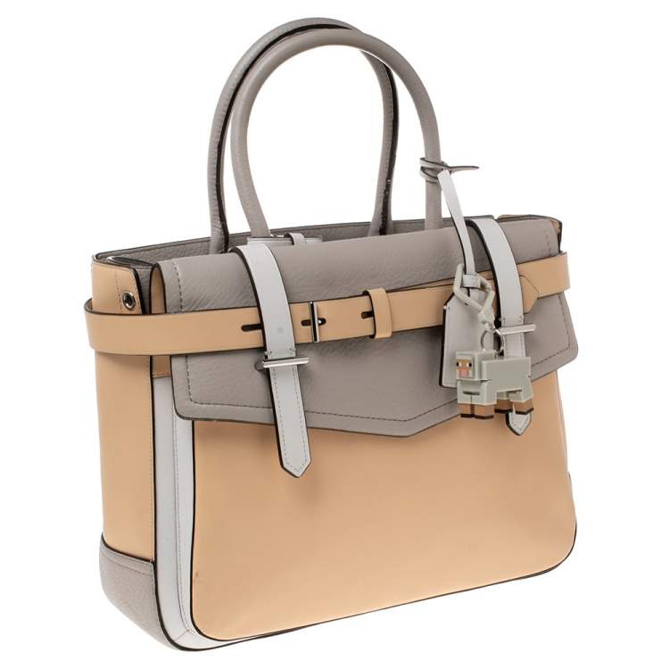 Pre Owned Reed Krakoff Multicolor Leather Boxer Tote