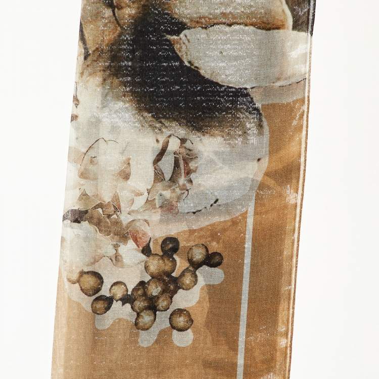 Pre Owned Roberto Cavalli Brown Printed Silk Scarf