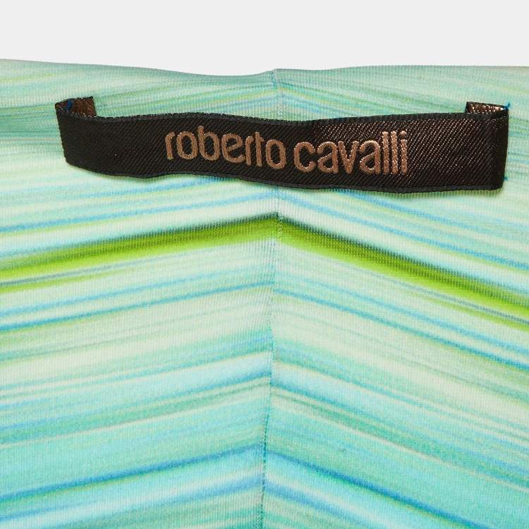 Pre Owned Roberto Cavalli Blue/Multicolor Printed Jersey Short Dress S