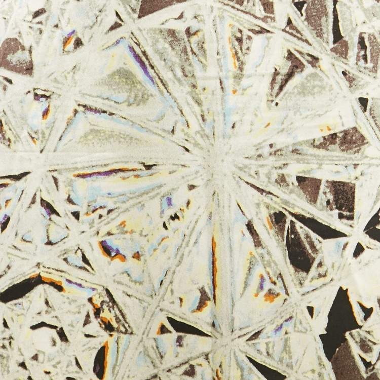 Pre Owned Roberto Cavalli Multicolor Printed Silk Maxi Skirt L