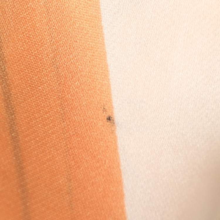 Pre Owned Roberto Cavalli Multicolor Printed Silk Top S