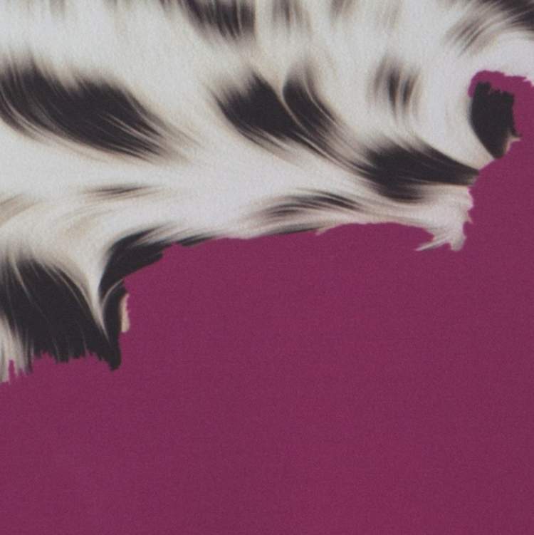 Pre Owned Roberto Cavalli Brown and Fuschia Animal Printed Jersey Maxi Skirt M