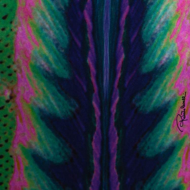 Pre Owned Roberto Cavalli Multicolor Animal Print Silk Flared Skirt L