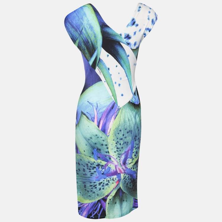 Pre Owned Roberto Cavalli Multicolor Printed Jersey Mid Dress M