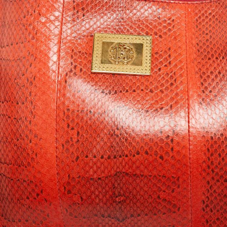 Pre Owned Roberto Cavalli Orange Watersnake Leather Slim Clutch Bag