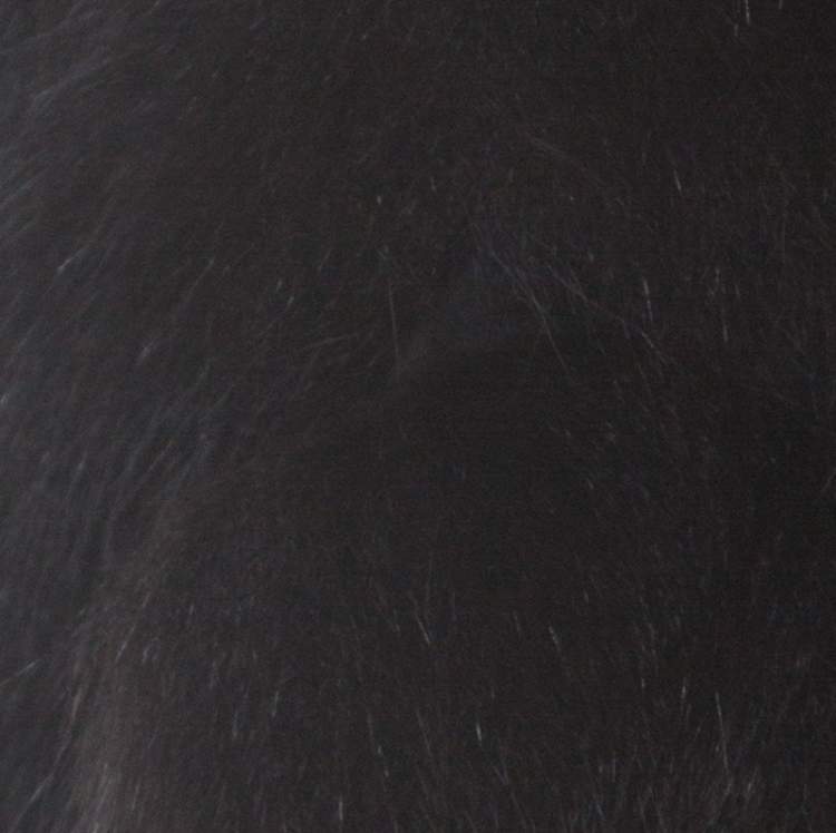 Pre Owned Saint Laurent Paris Edition Soir Black Fox Fur Bolero M 