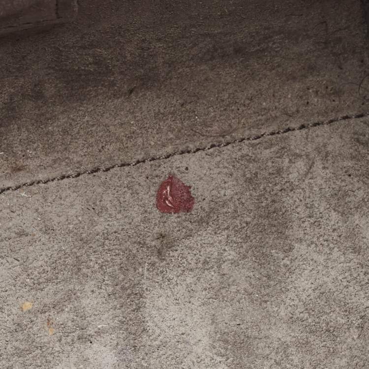 Pre Owned Saint Laurent Classic Sac De Jour Baby Grey Leather Tote