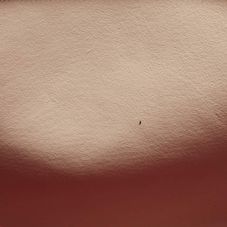 Pre Owned Salvatore Ferragamo Red Leather Medium Amy Tote