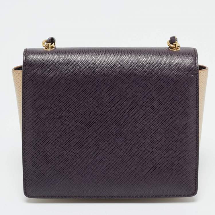 Pre Owned Salvatore Ferragamo Purple/Beige Leather Mini Ginny Crossbody Bag