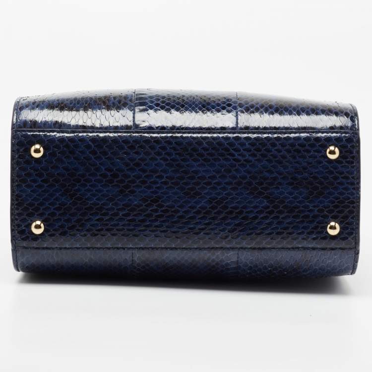 Pre Owned Salvatore Ferragamo Blue Python and Leather Thea Top Handle Bag