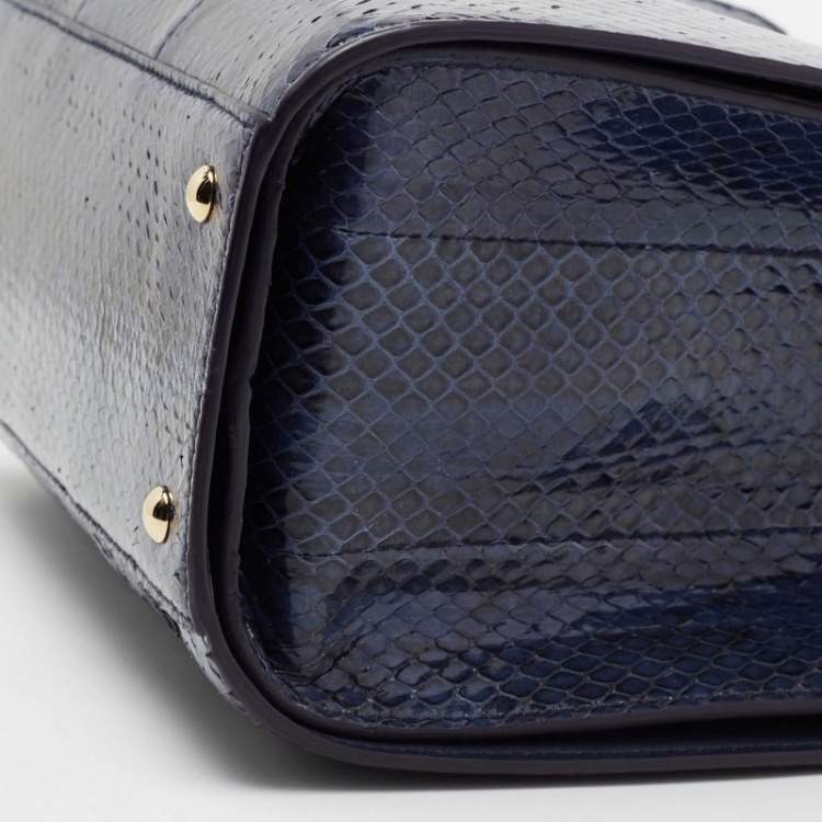 Pre Owned Salvatore Ferragamo Blue Python and Leather Thea Top Handle Bag