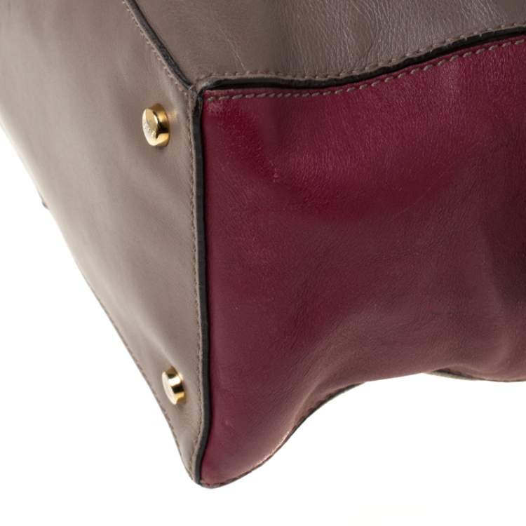 Pre Owned Tod's Taupe/Burgundy Leather D-Styling Medium Tote