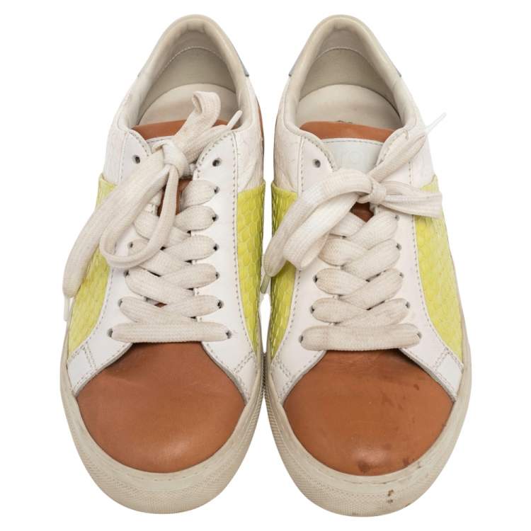 Pre Owned Tod's Multicolor Python And Leather Lace Up Sneakers Size 35.5