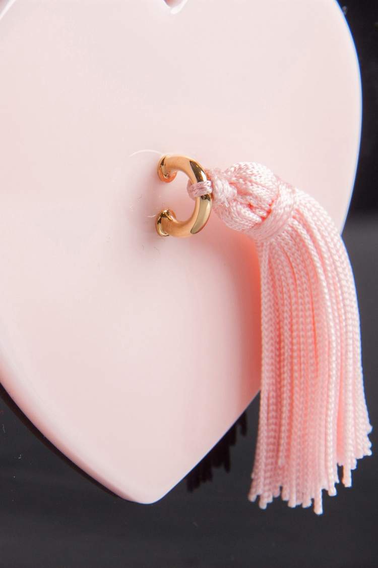 Pre Owned Charlotte Olympia Black/Pink Perspex Such a Tease Tassel Clutch