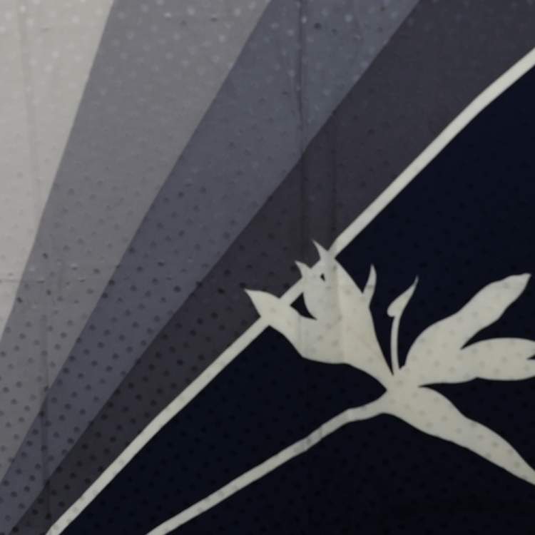 Pre Owned Valentino Stratos Printed Blue Silk Scarf