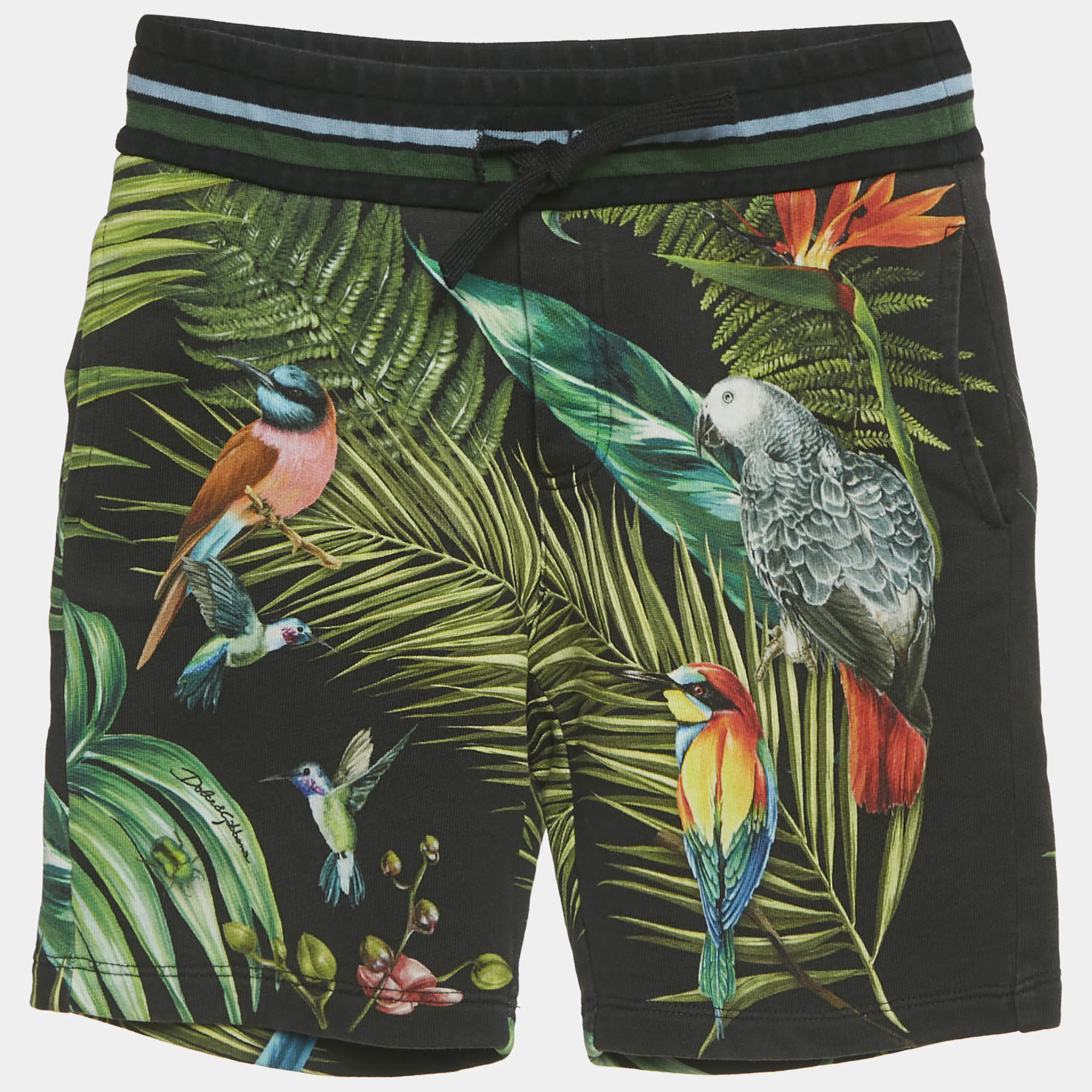 Pre Owned Dolce & Gabbana Kids Black Tropical Print Cotton Shorts 6Yrs