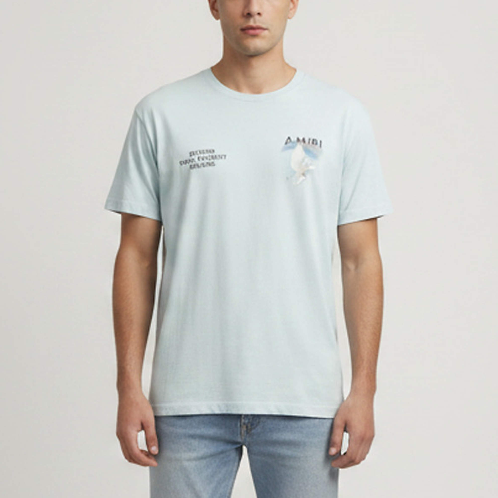 Pre Owned Amiri Sky Blue Rainbow Dove Print Cotton Crew Neck T-Shirt L
