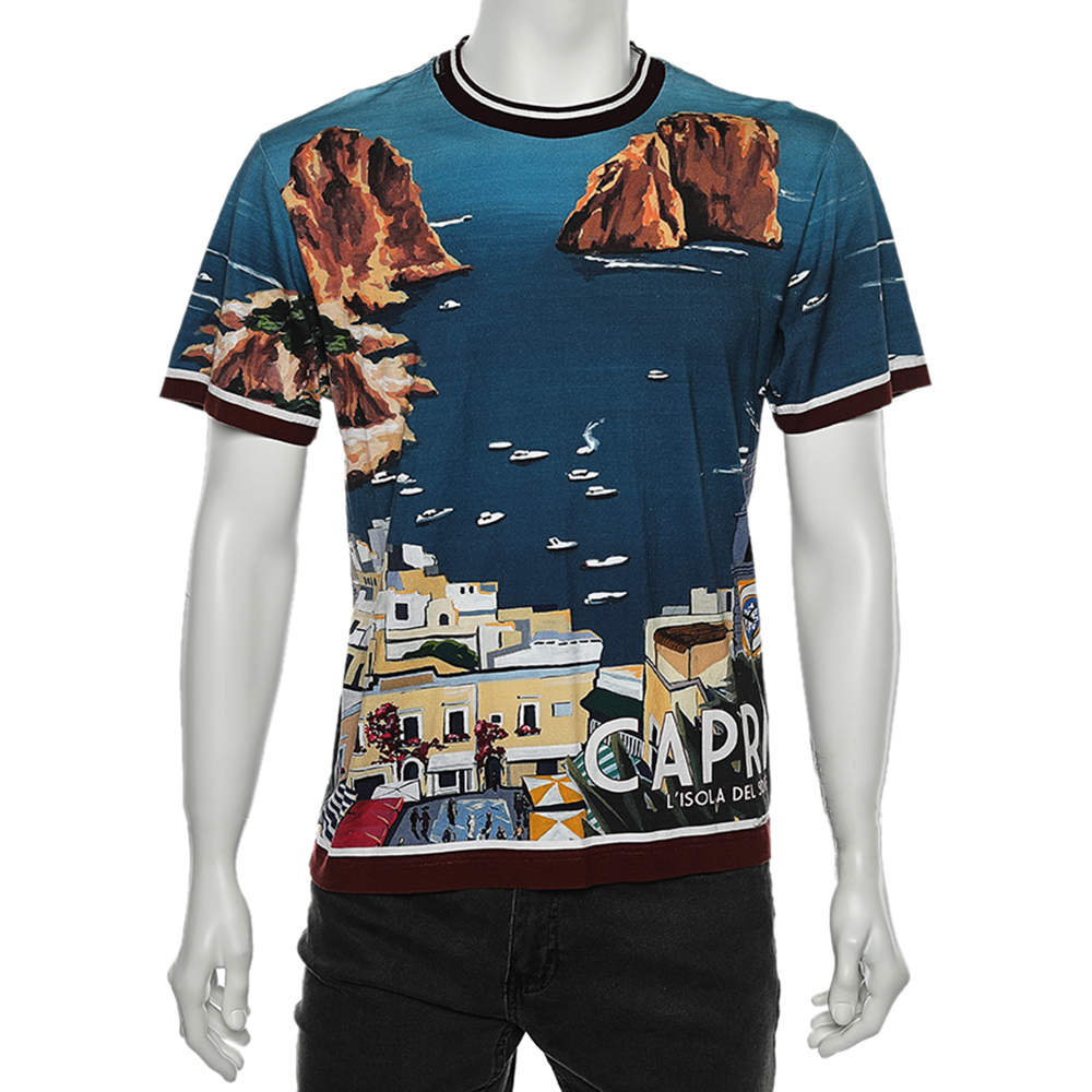 مملوكة مسبقًا Dolce & Gabbana Multicolor Capri Printed Cotton Crewneck T-Shirt S