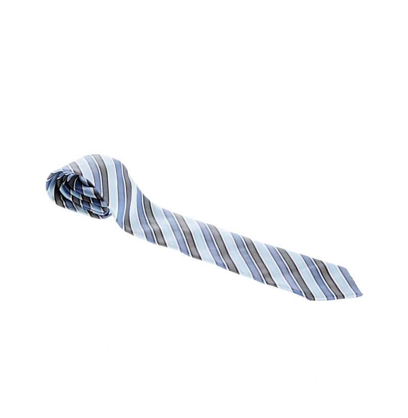 Ermenegildo Zegna Blue Diagonal Striped Silk Tie 