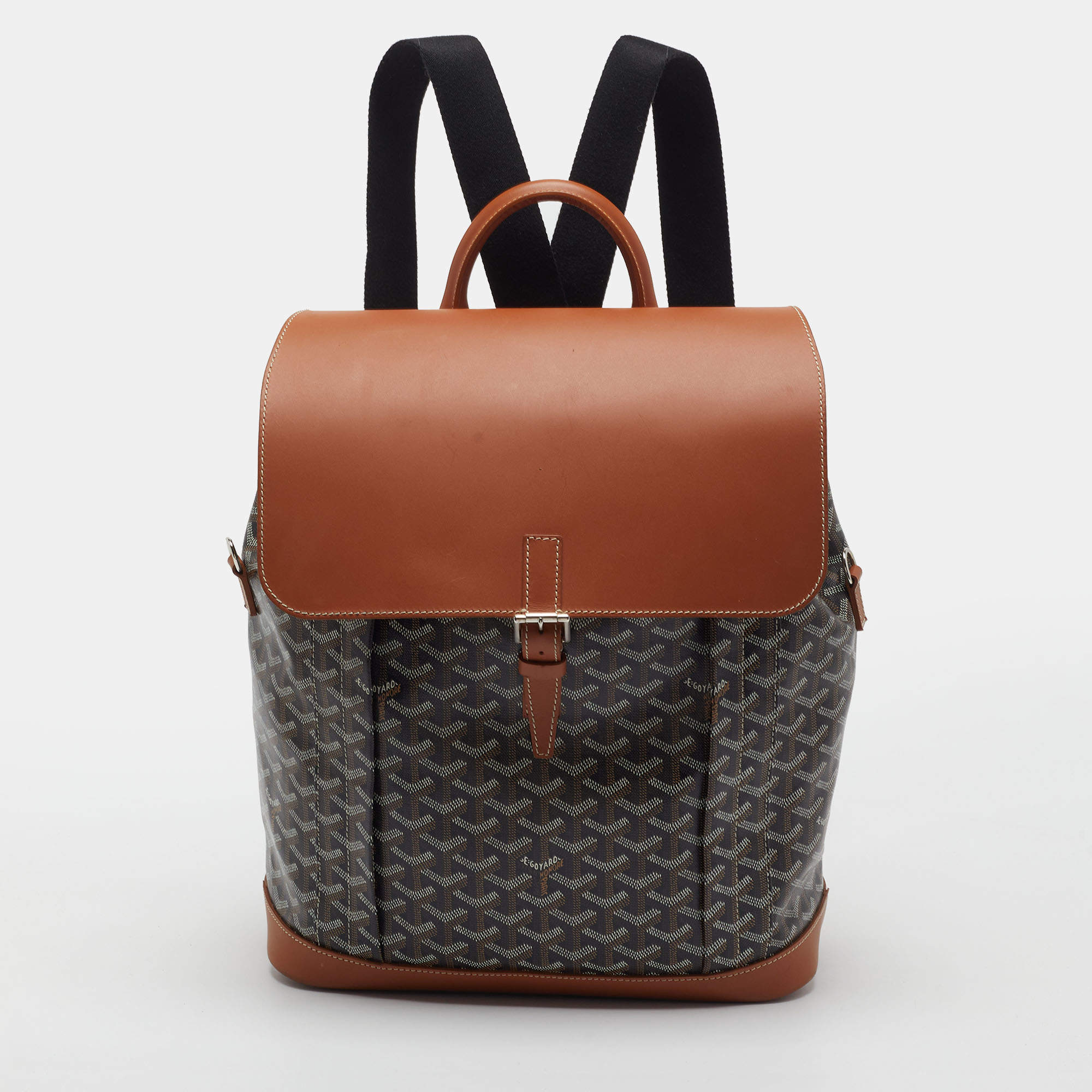Pre Owned حقيبة ظهر جويارد ألپين جواردين كانفاس مقوى وجلد أخضر MM
