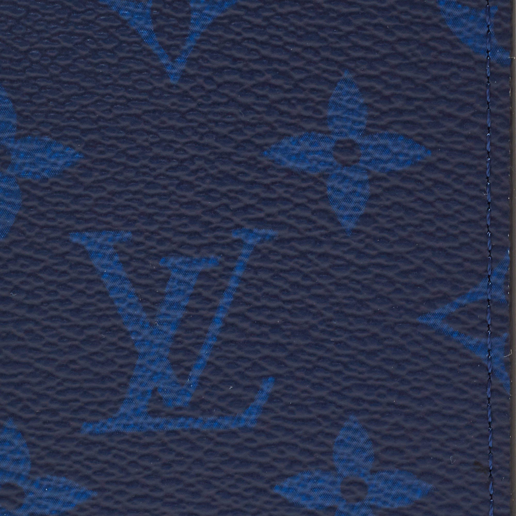 LOUIS VUITTON Taiga Pocket Organizer Blue Marine 456521
