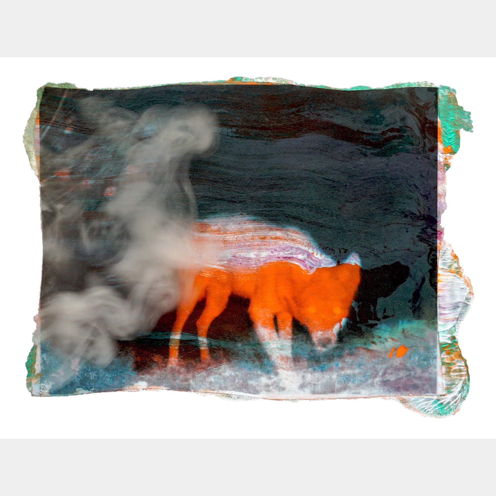 A Secret Life Of Animals #51 By Anne Brenner, France,2019 (50 X 65)