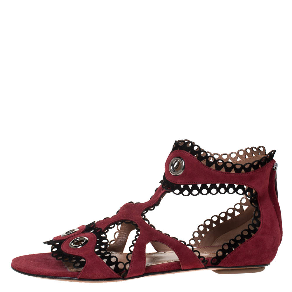 Alaia Maroon Suede Scallop Trim Eyelet Embellished Ankle
