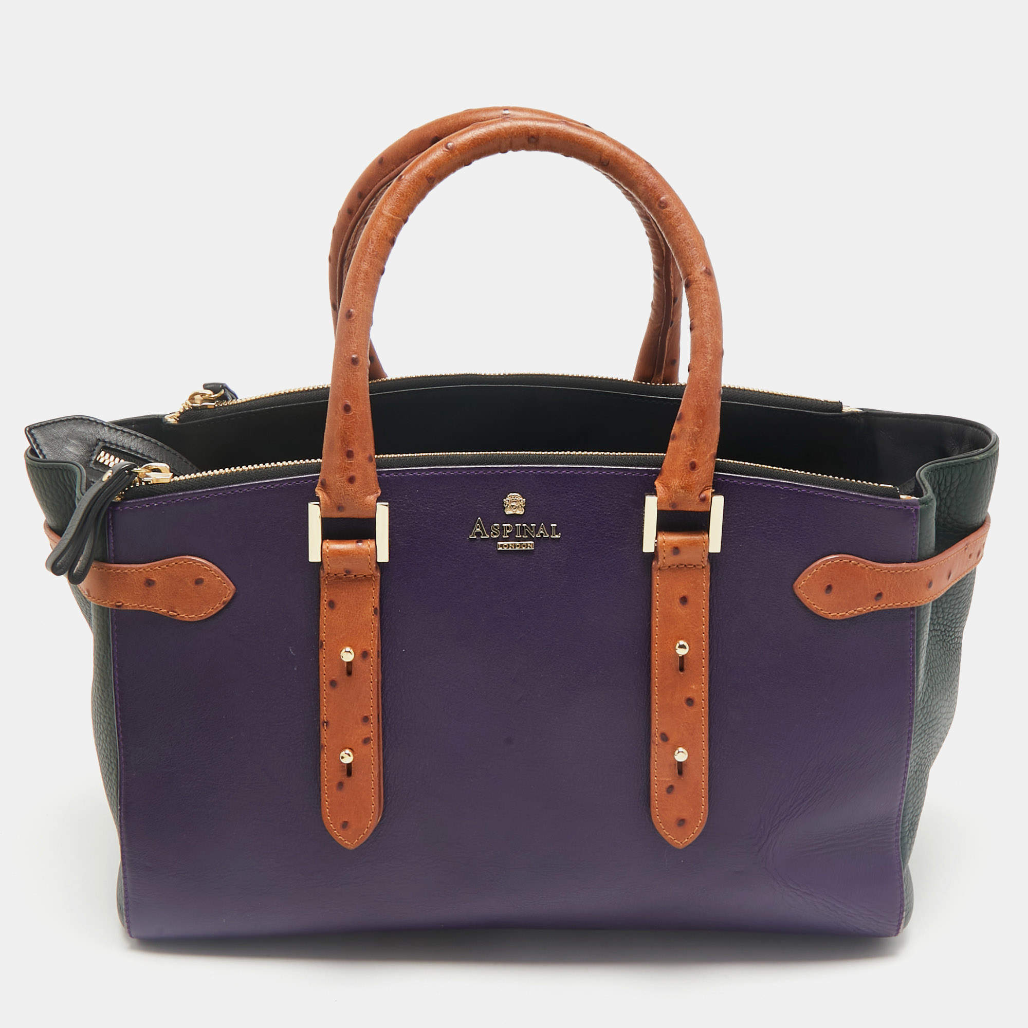 Aspinal of London Multicolor Leather and Ostrich Embossed Marylebone Tote