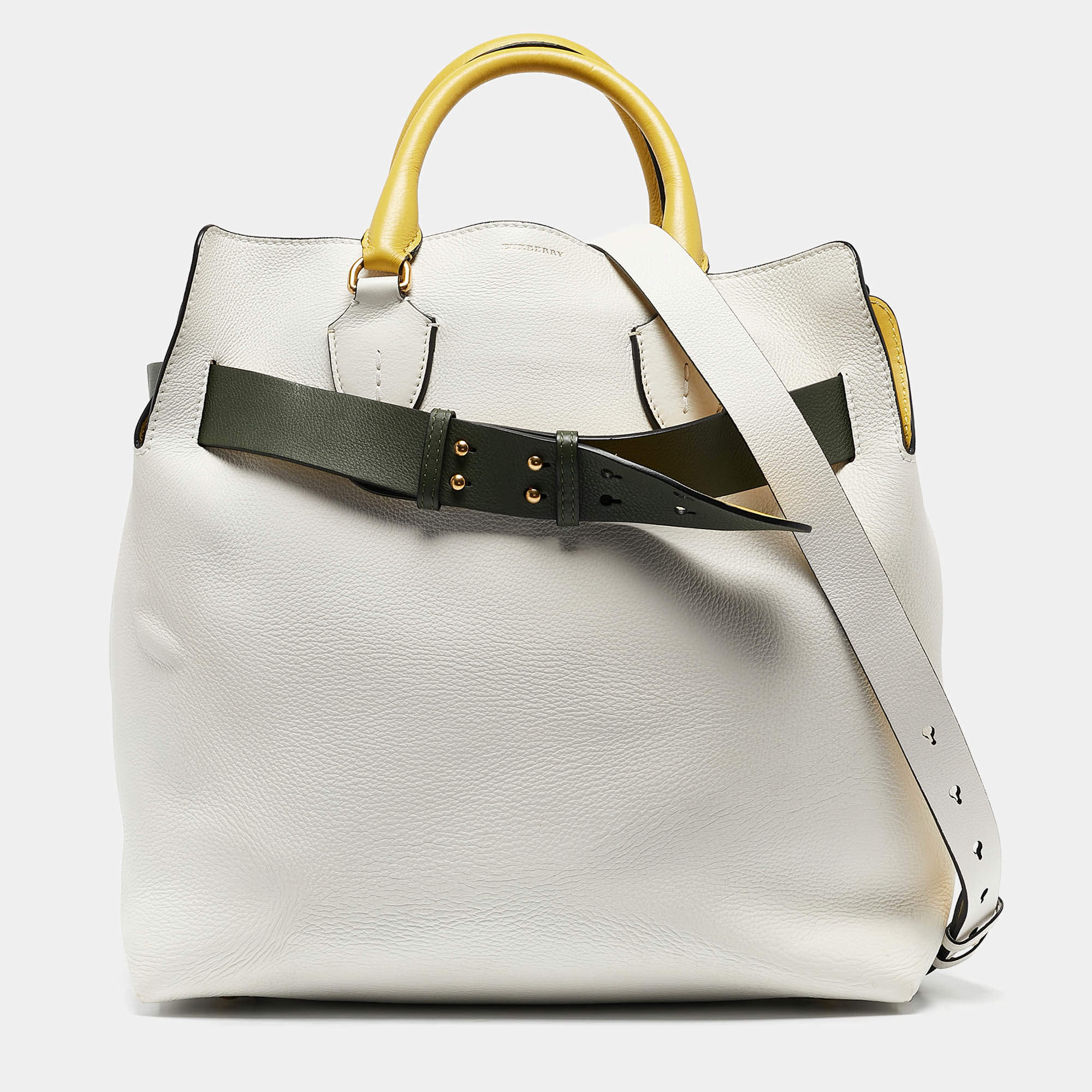 Pre Owned Burberry Tricolor Leather Large Marais Belt Bag