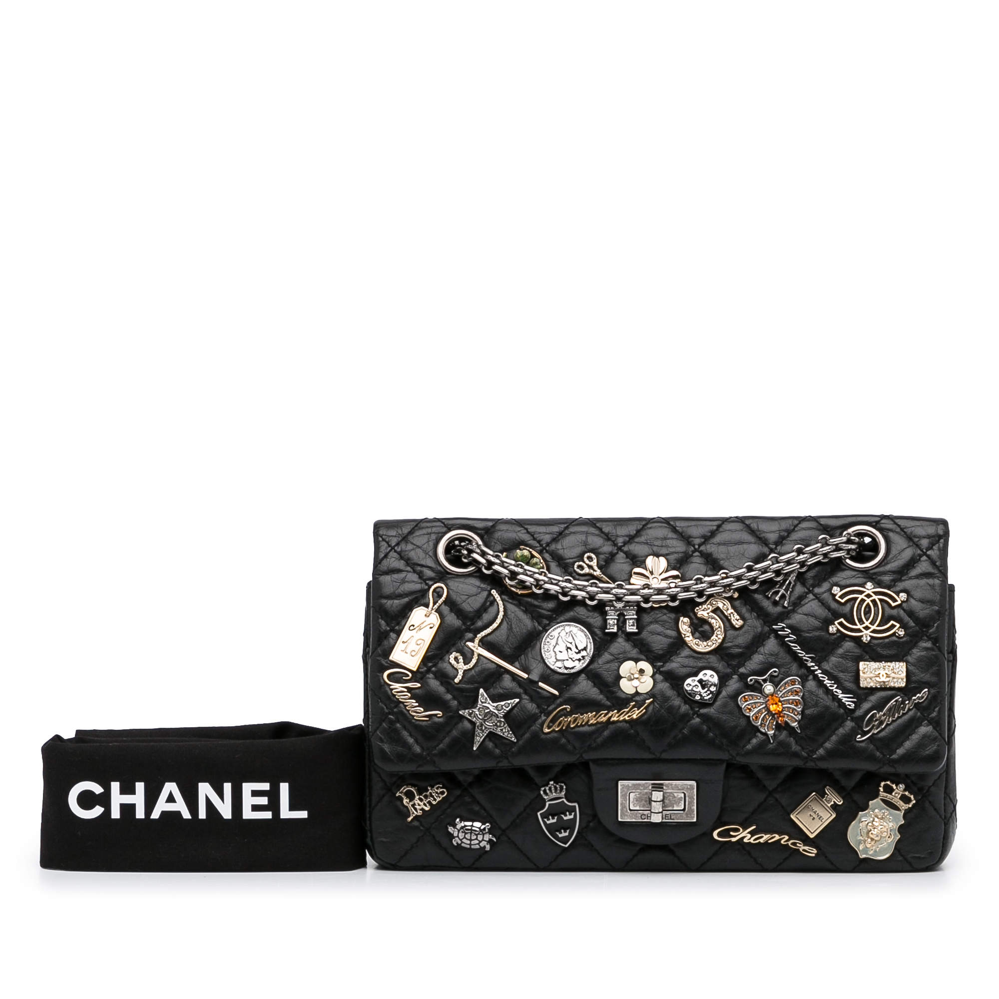 Chanel 255 Reissue Lucky Charms 225 Flap Iridescent Metallic Grey Can   Coco Approved Studio