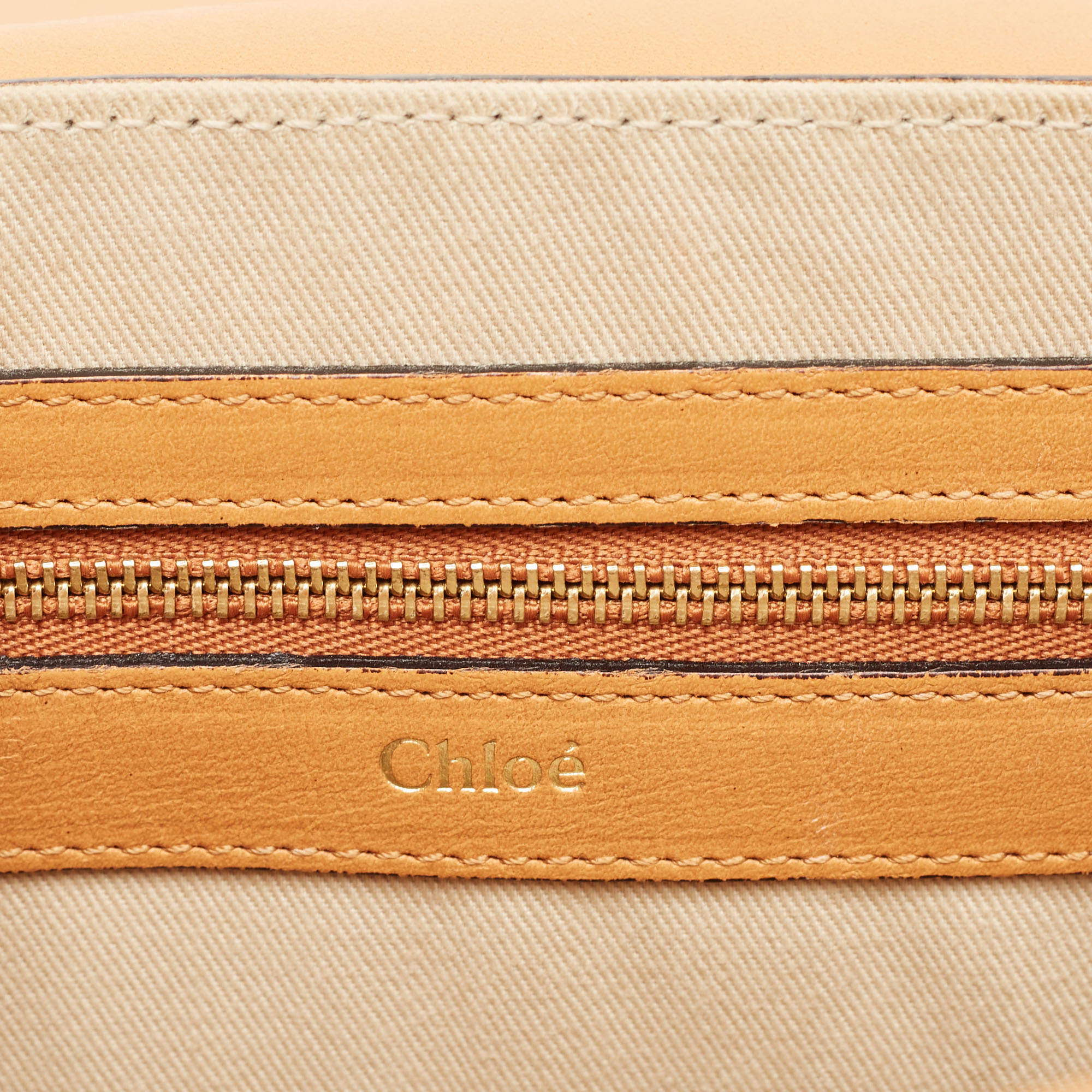 Pre Owned Chloe Tricolor Python Medium Sally Shoulder Bag