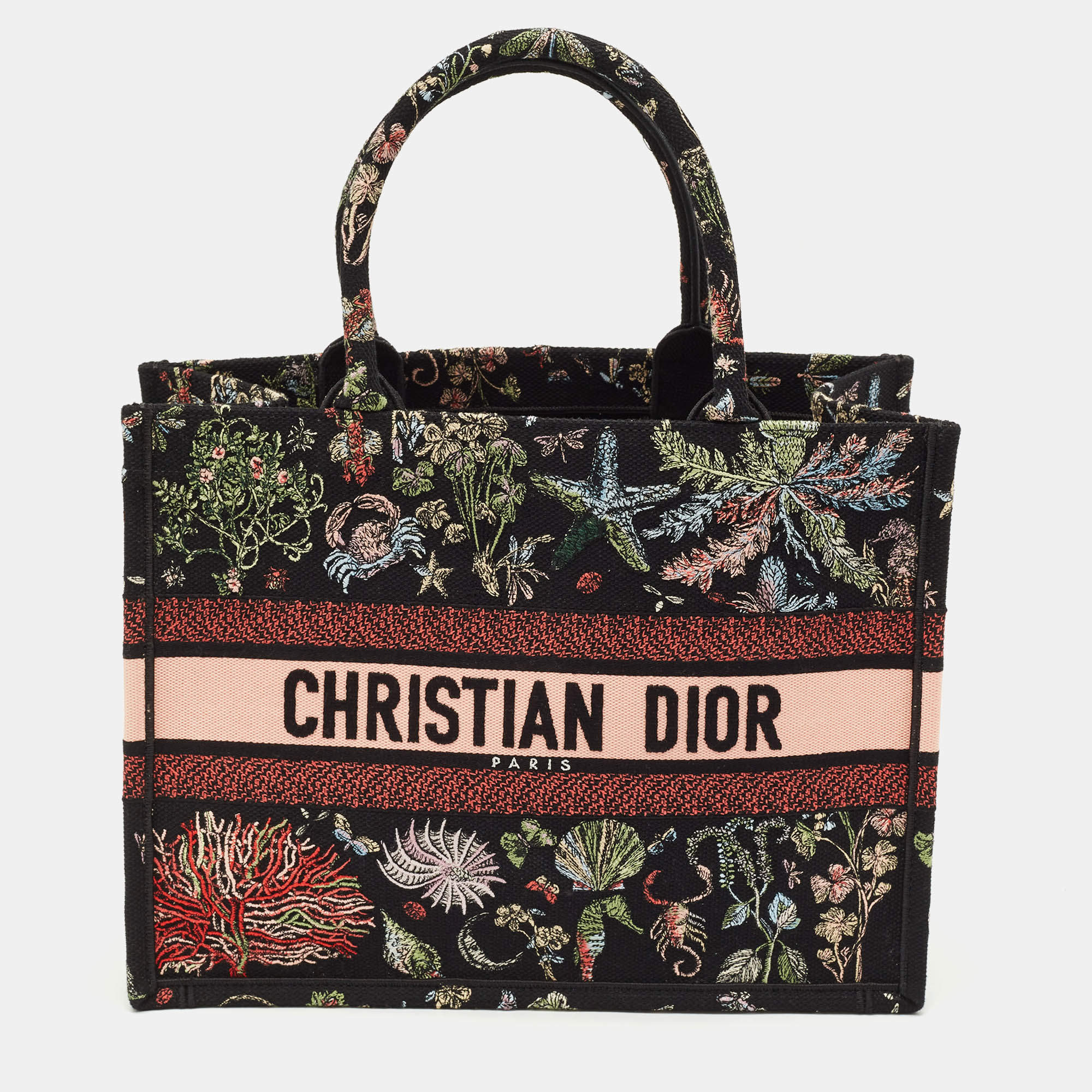 Dior Multicolor Embroidered Canvas Medium Book Tote