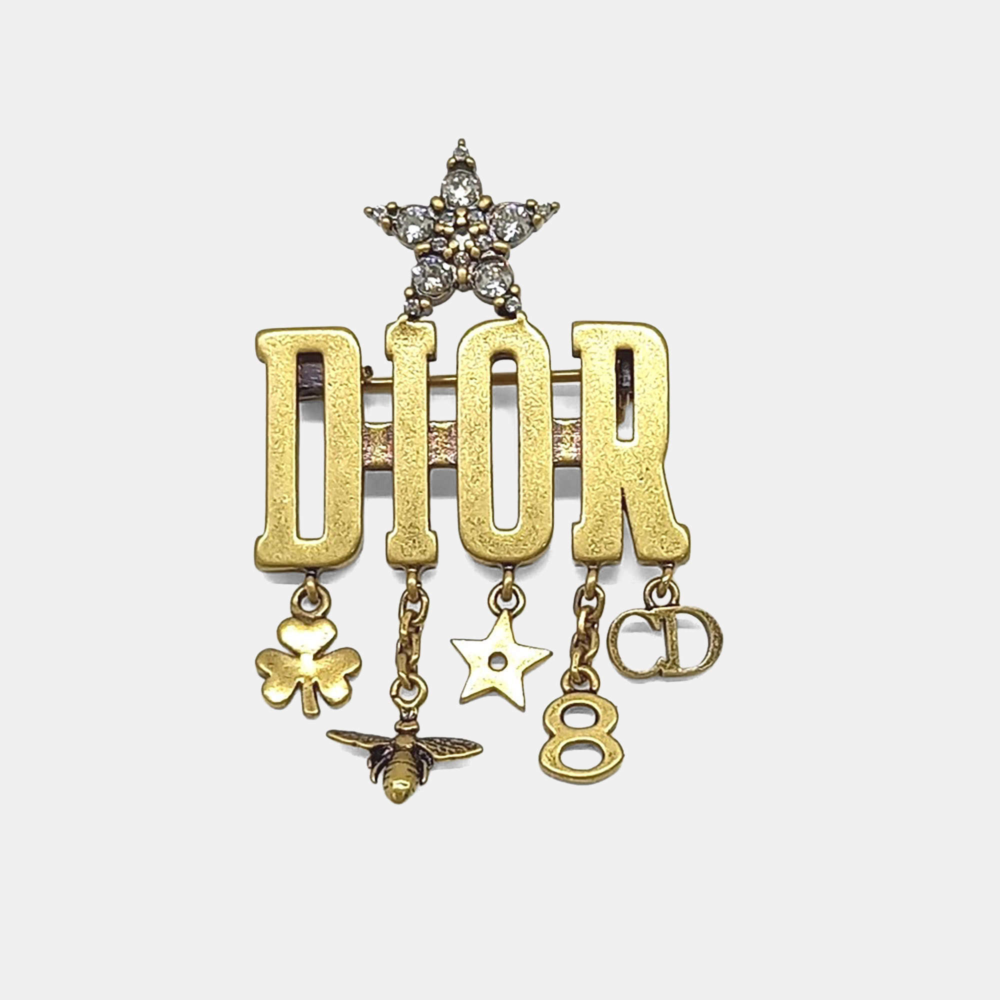 Pre Owned Christian Dior Metal logo brooch
