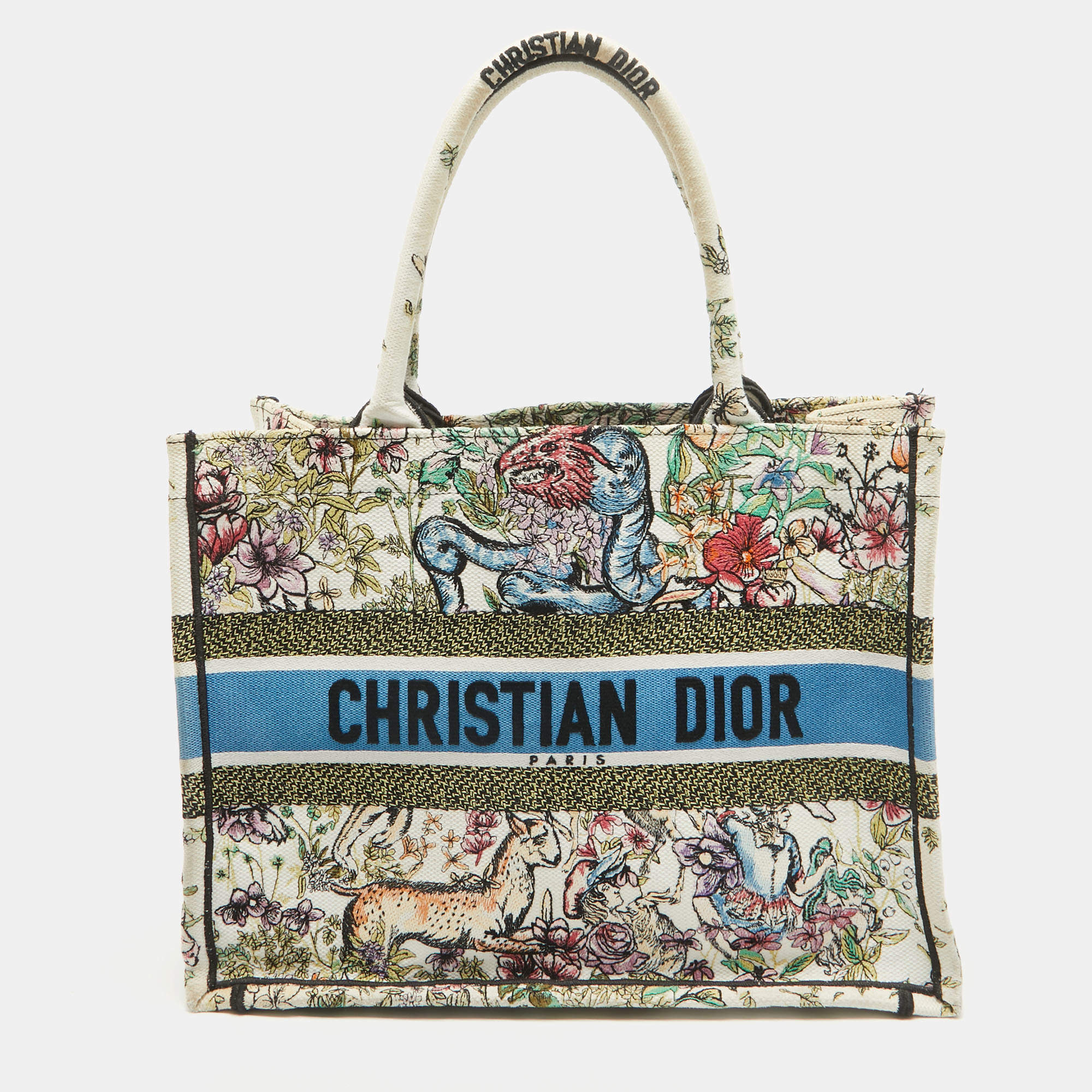 Dior Multicolor Embroidered Canvas Medium Book Tote