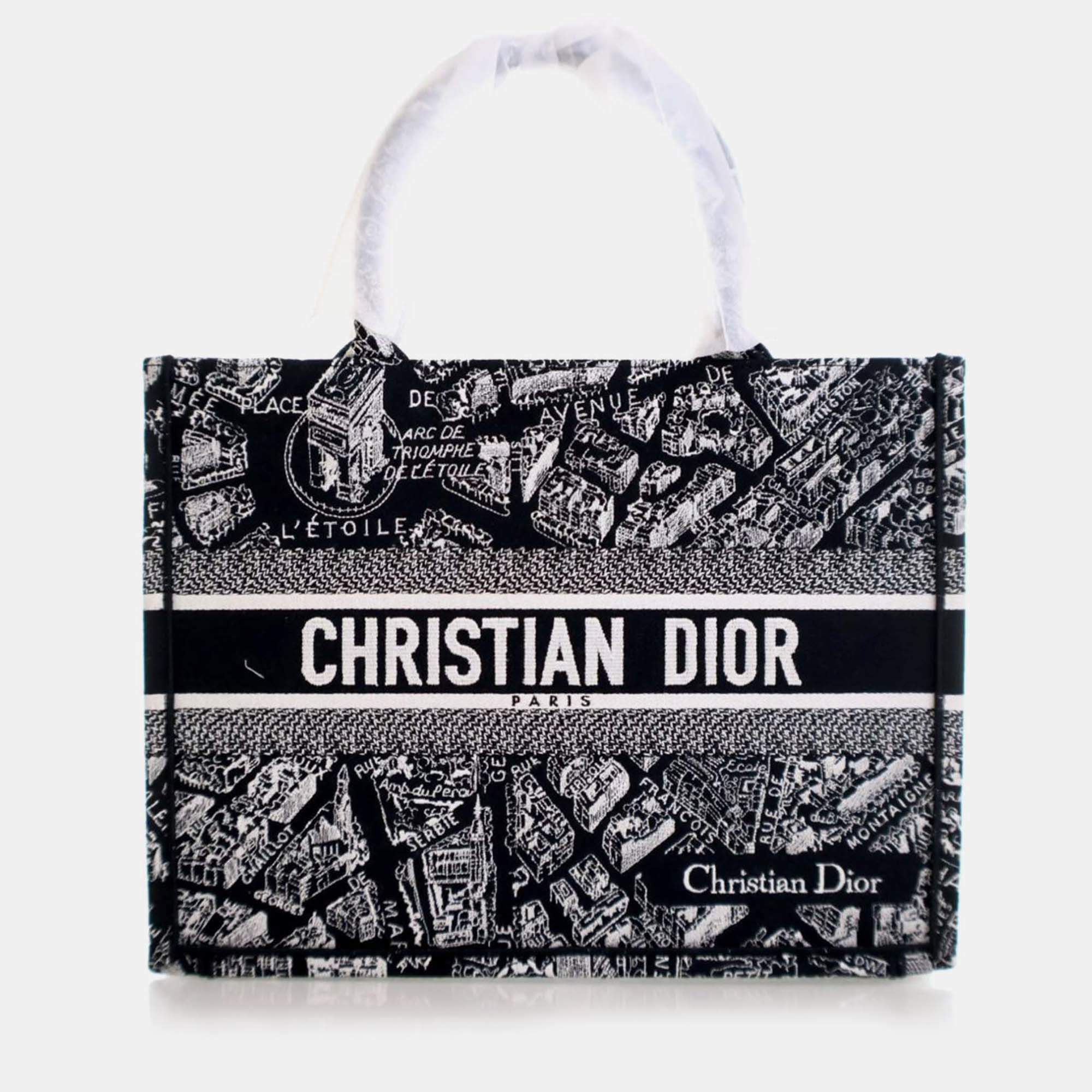 Dior Medium Canvas Paris Map Book Tote