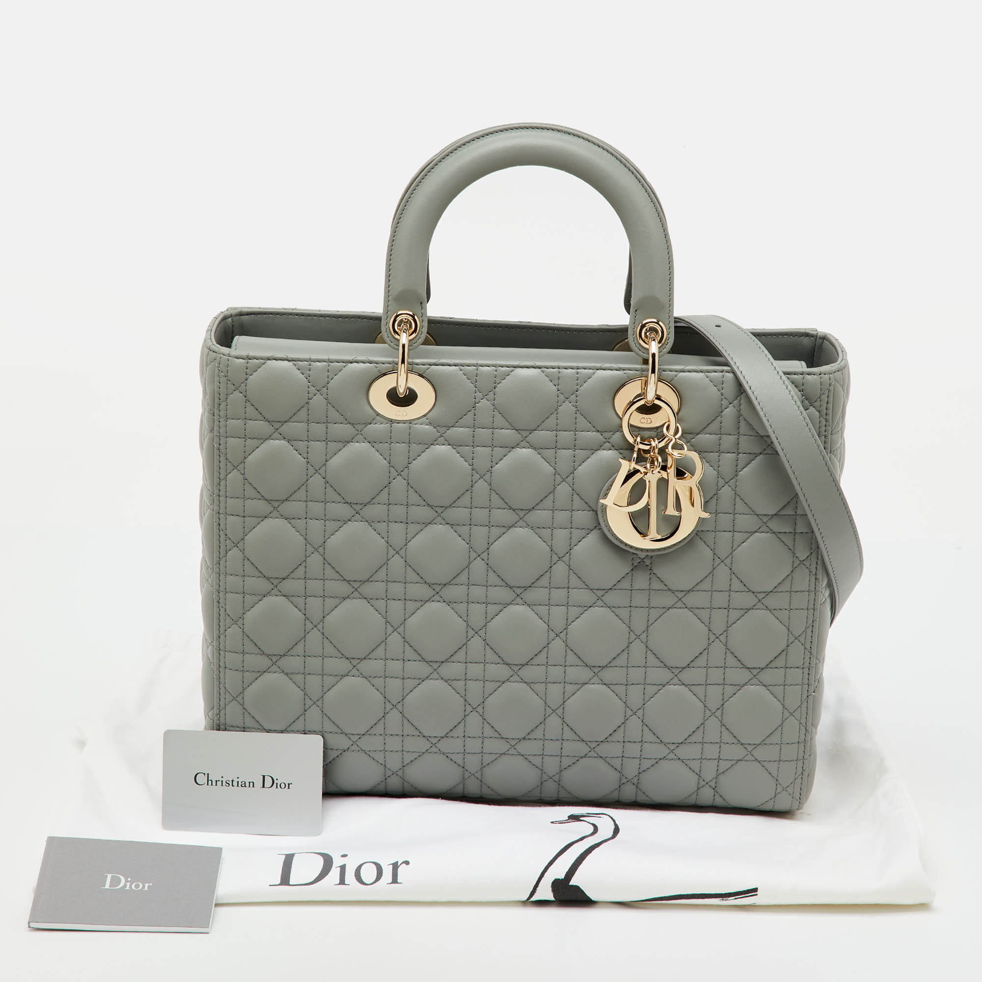 Dior Beige/Brown Medium Jardin d'Hiver Lady D-Lite Bag Dior