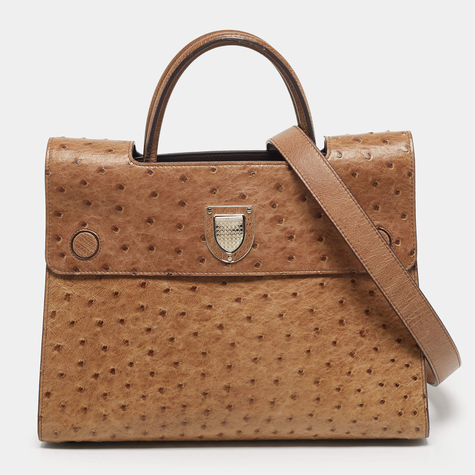 Pre Owned Dior Brown Ostrich Medium Diorever Top Handle Bag