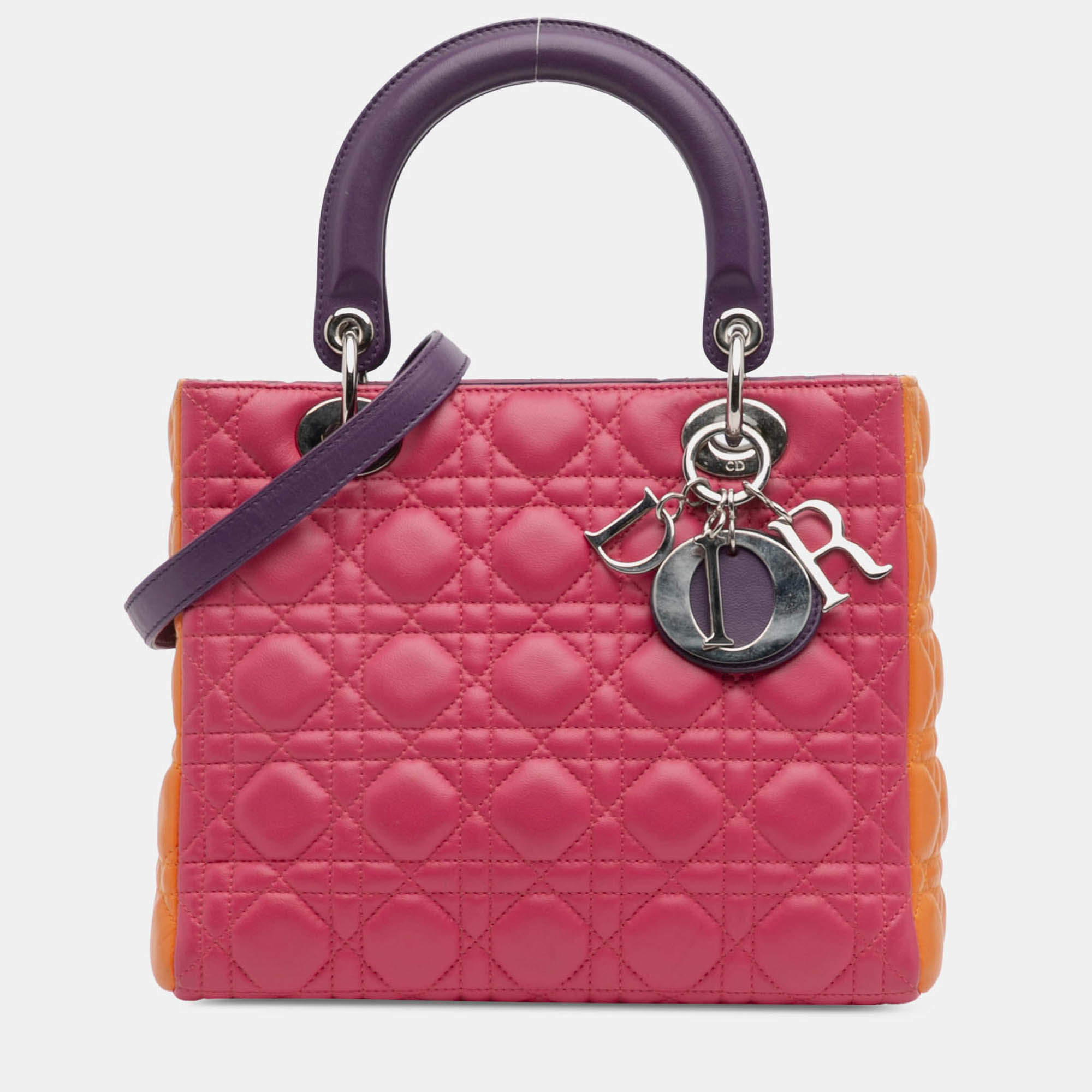 مملوكة مسبقًا Dior Multicolor Medium Tricolor Lambskin Cannage Lady Dior
