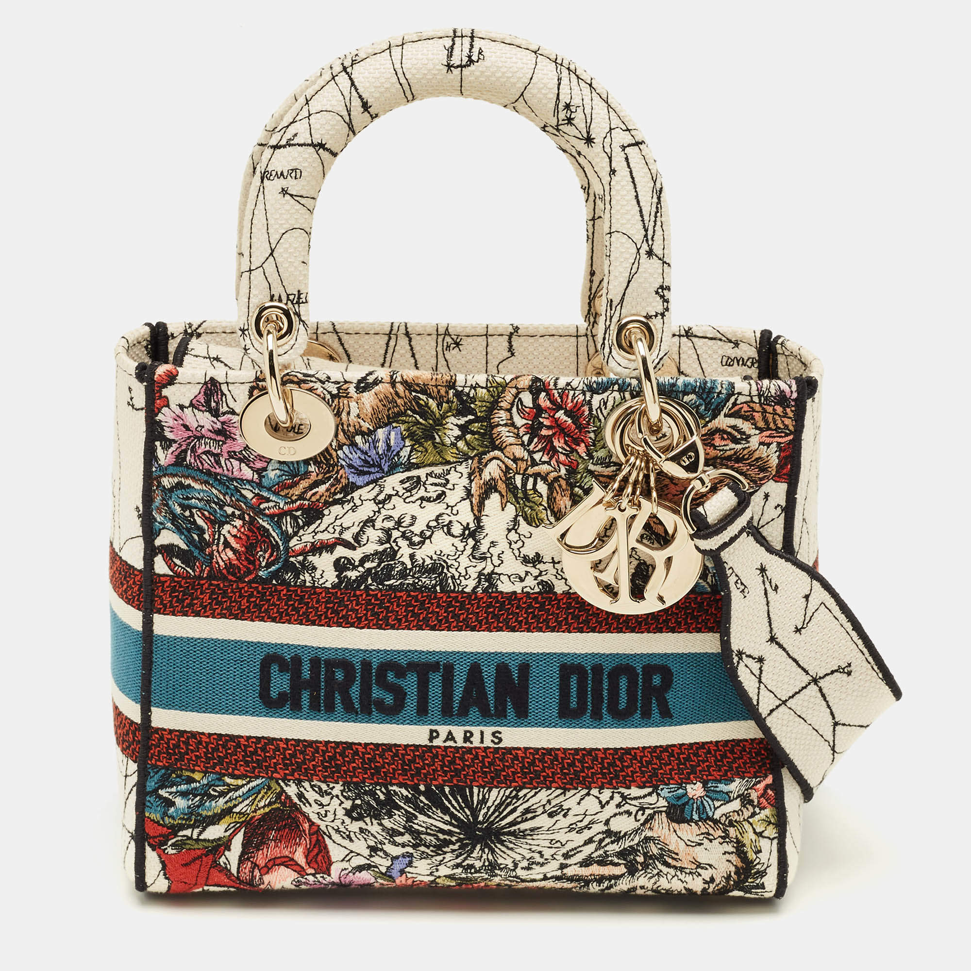 Pre Owned Dior Multicolor Floral Embroidered Canvas Medium Lady D-Lite Tote