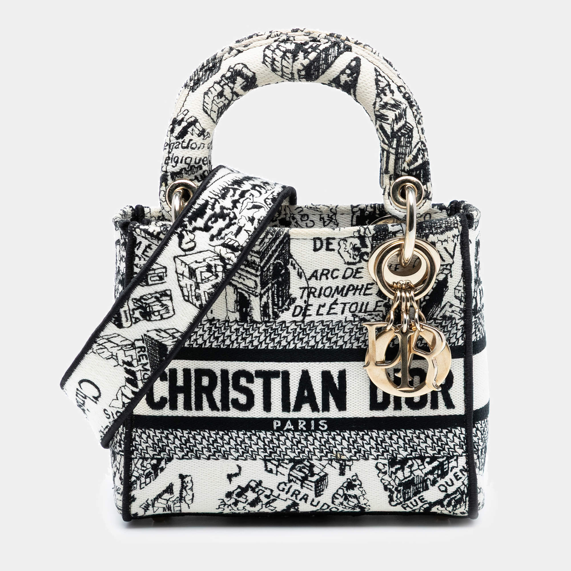 Pre Owned Dior White Mini Embroidered Canvas Plan de Paris Lady D Lite