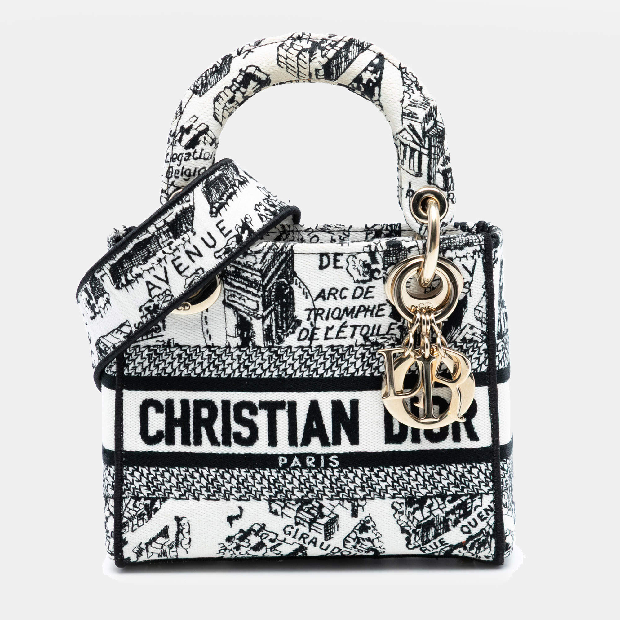 Pre Owned Dior Black White Mini Embroidered Canvas Plan de Paris Lady D Lite