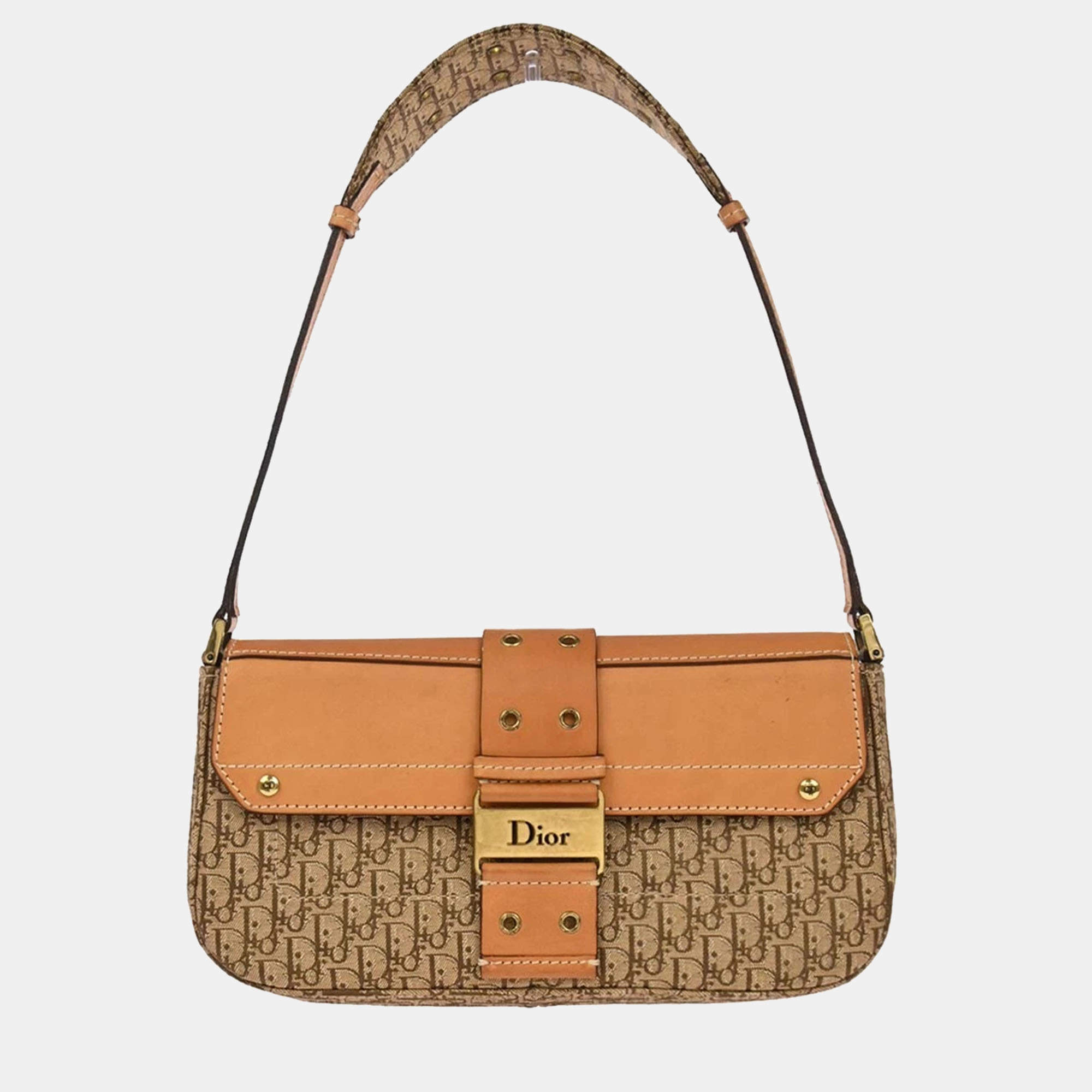 Pre Owned Christian Dior Brown Beige Street Chic Trotter Handbag