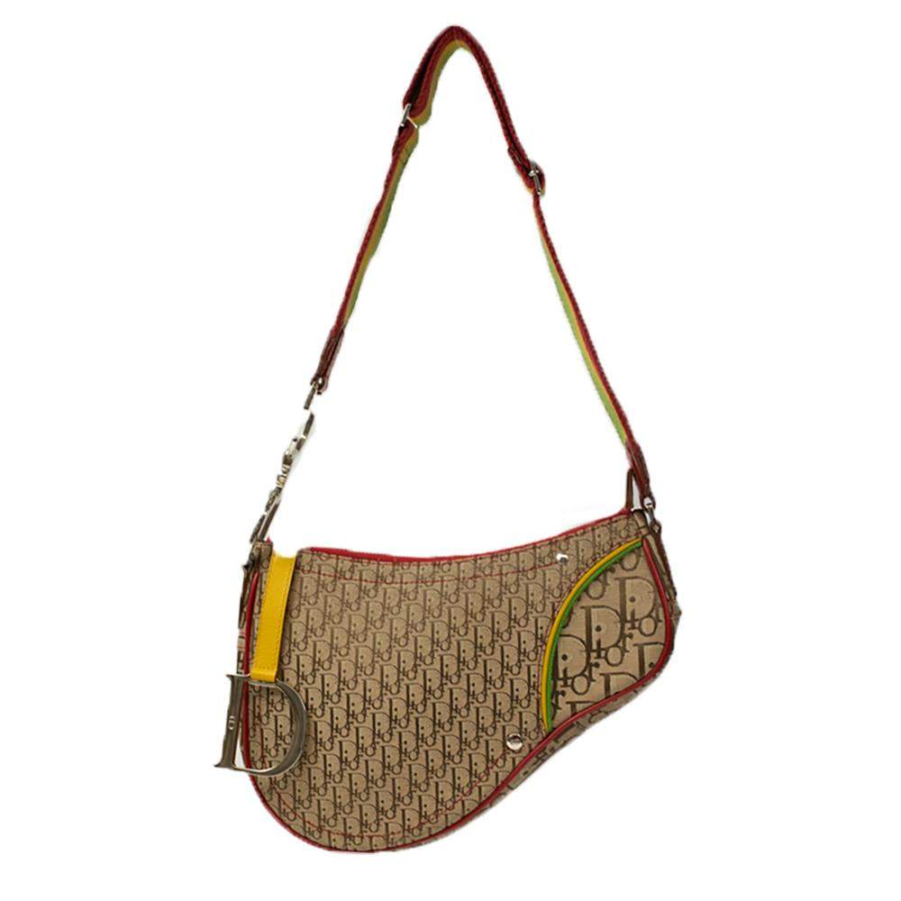 rasta dior bag