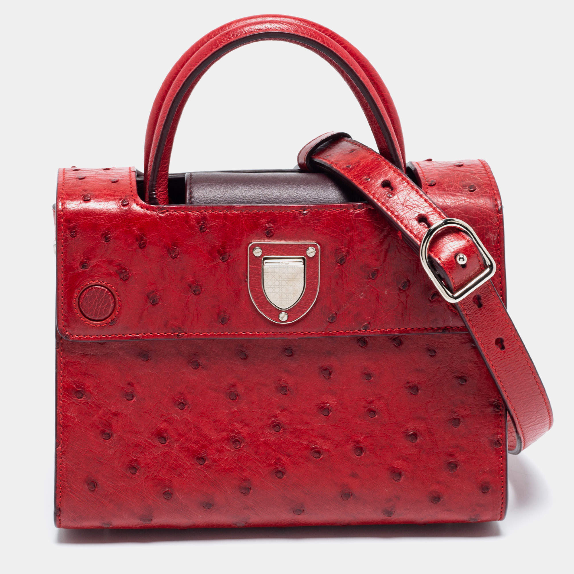 Pre Owned Dior Red Ostrich Small Diorever Tote