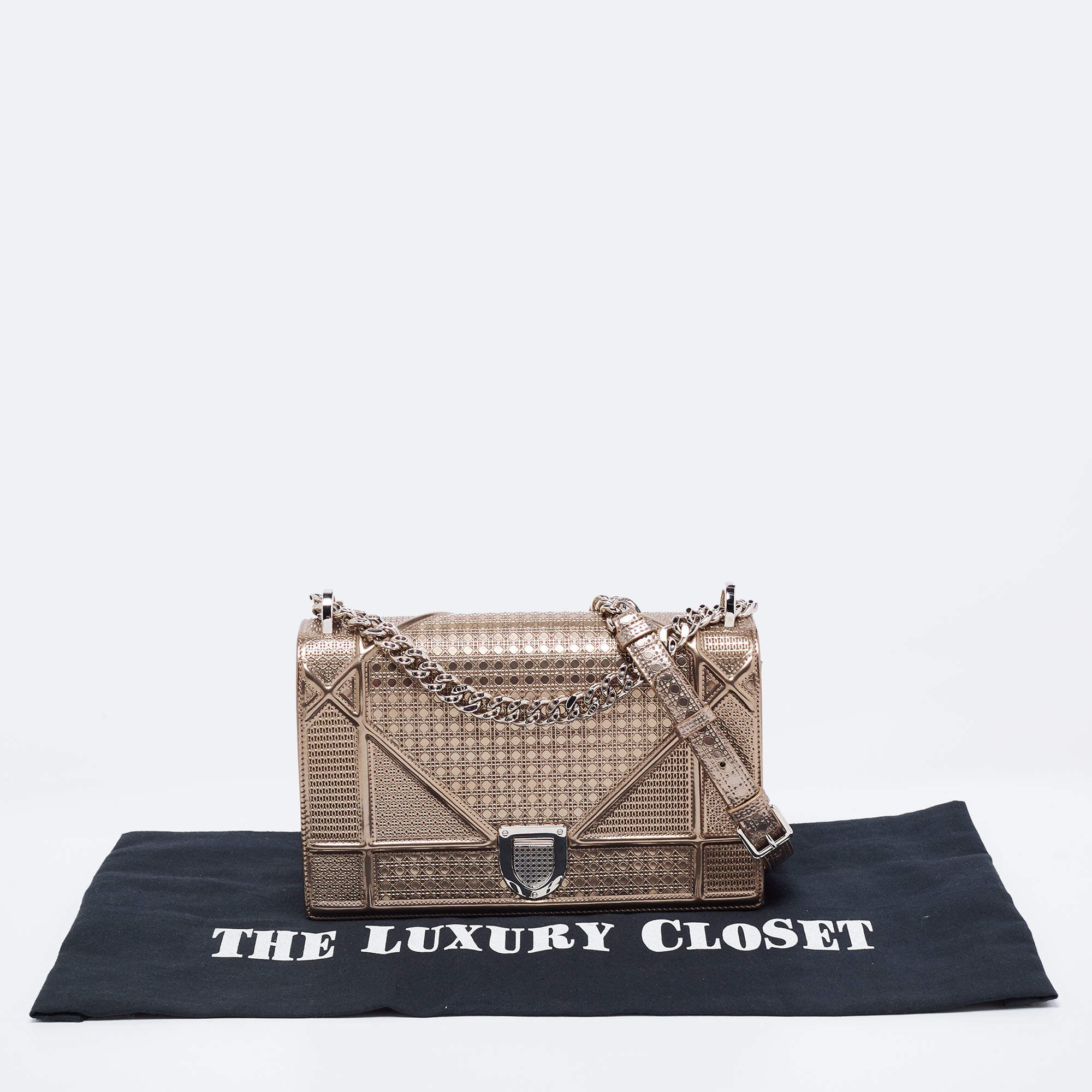 Christian Dior Black Lizard Diorama Medium Bag – The Closet